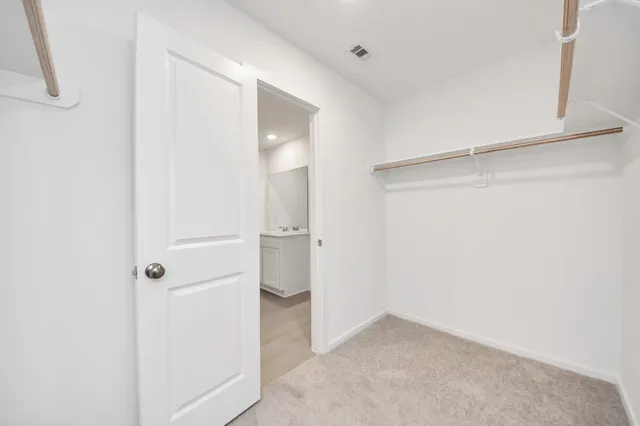 a view of a backyard with plants and a garden