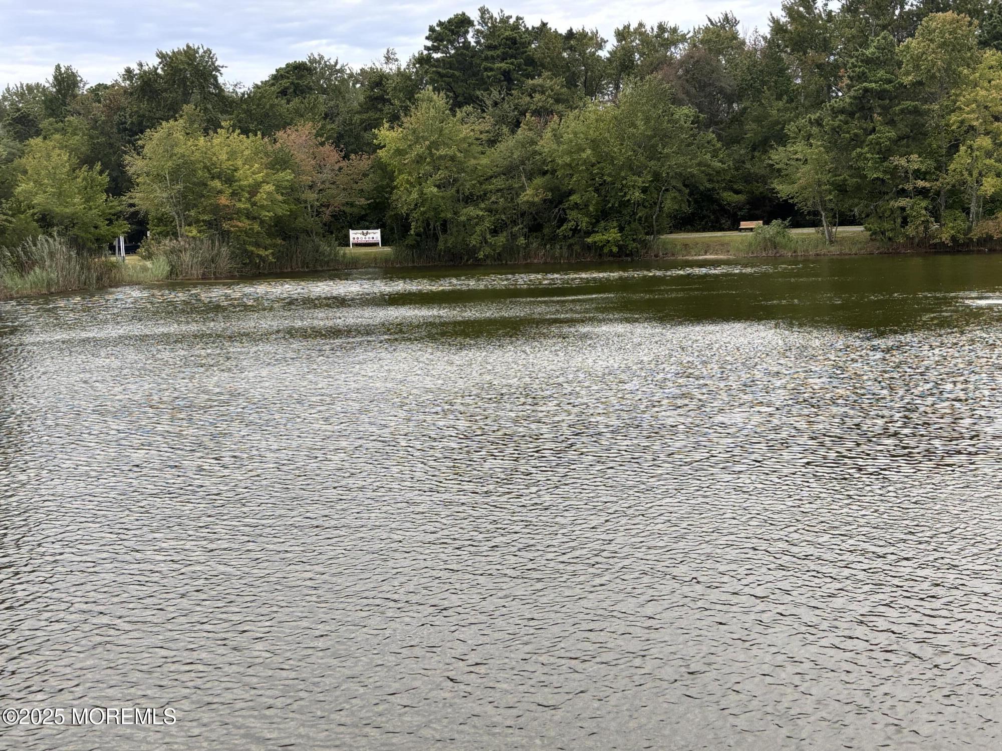 29 Oakham Row Manchester Township, NJ 08759 - Photo 43 of 47 IMG_6703