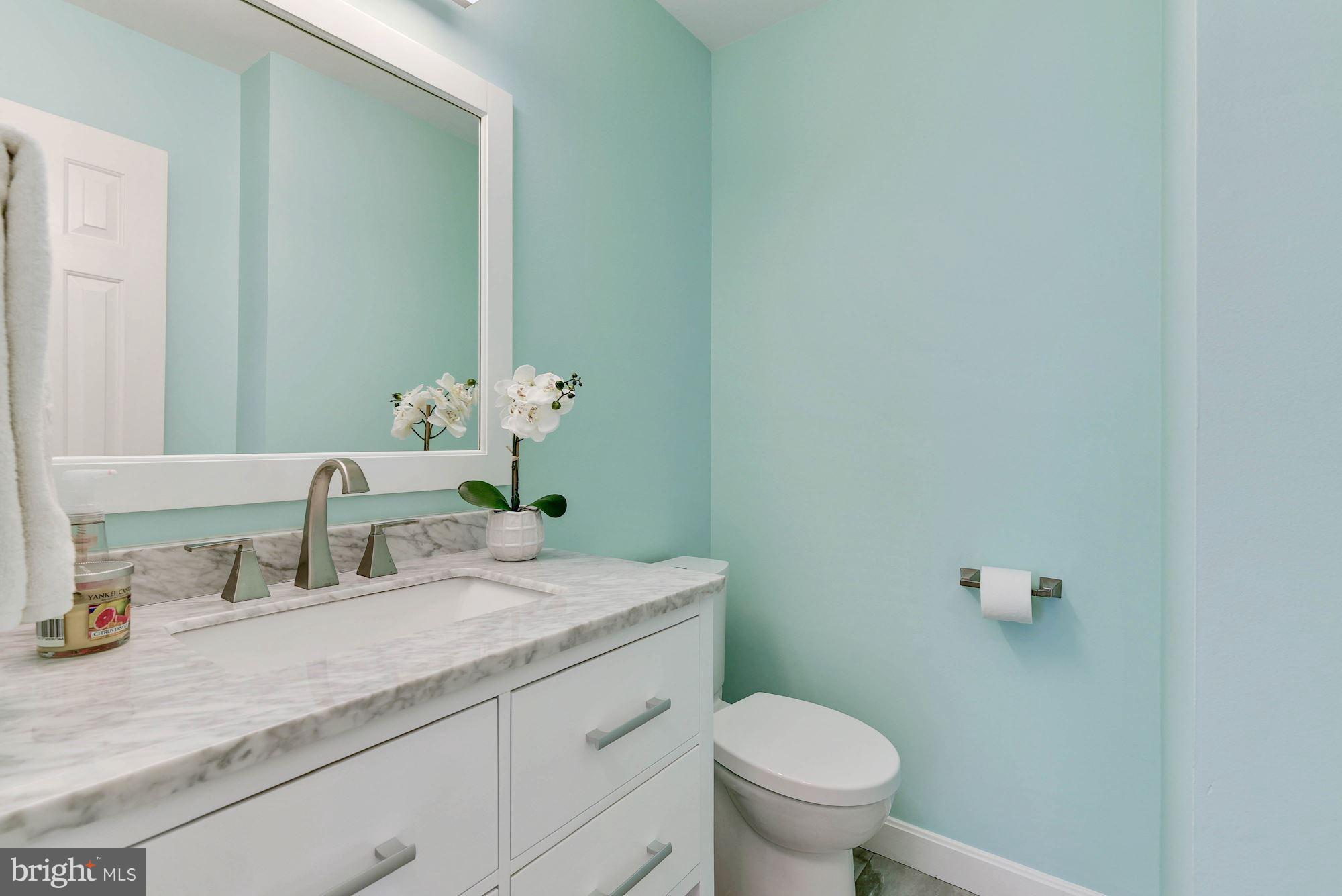 1304 19th Road South Arlington, VA 22202 - Photo 13 of 25 Main level fully renovated half bath