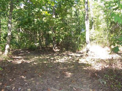 1315 Ashby Road Lawrenceburg, KY 40342 - Photo 14 of 26 Photo 14