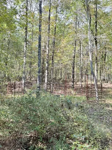 a view of a backyard with table and chairs and a large tree