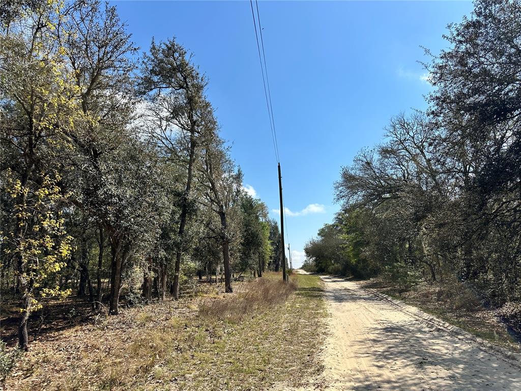 Tbd Northeast 68th Street Williston, FL 32696 - Photo 2 of 8