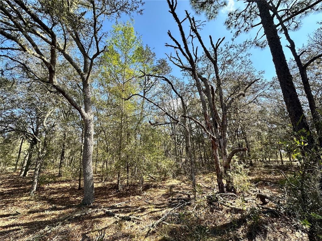 Tbd Northeast 68th Street Williston, FL 32696 - Photo 5 of 8