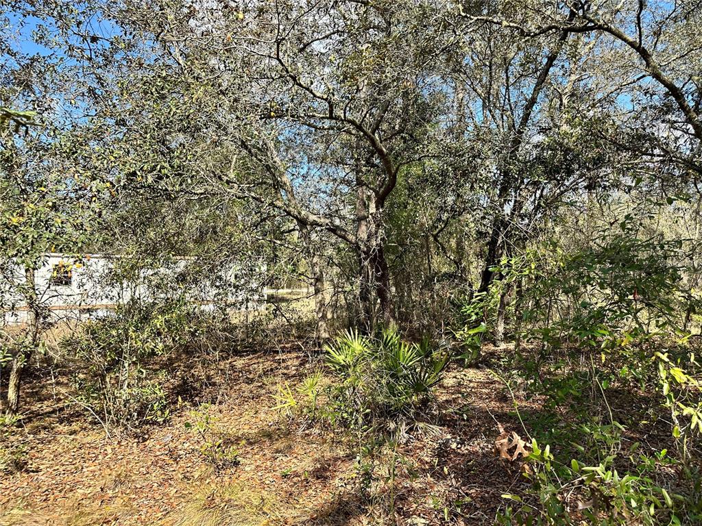 Tbd Northeast 68th Street Williston, FL 32696 - Photo 8 of 8