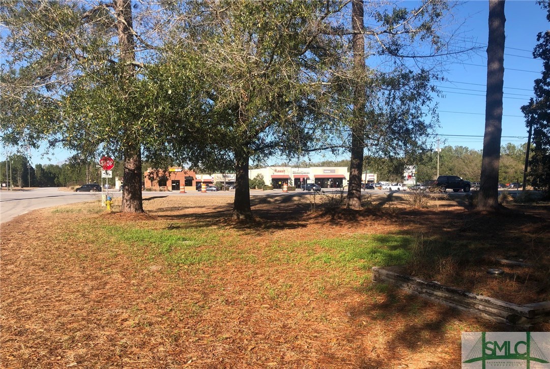 111 Beebe Road Springfield, GA 31329 - Photo 4 of 4