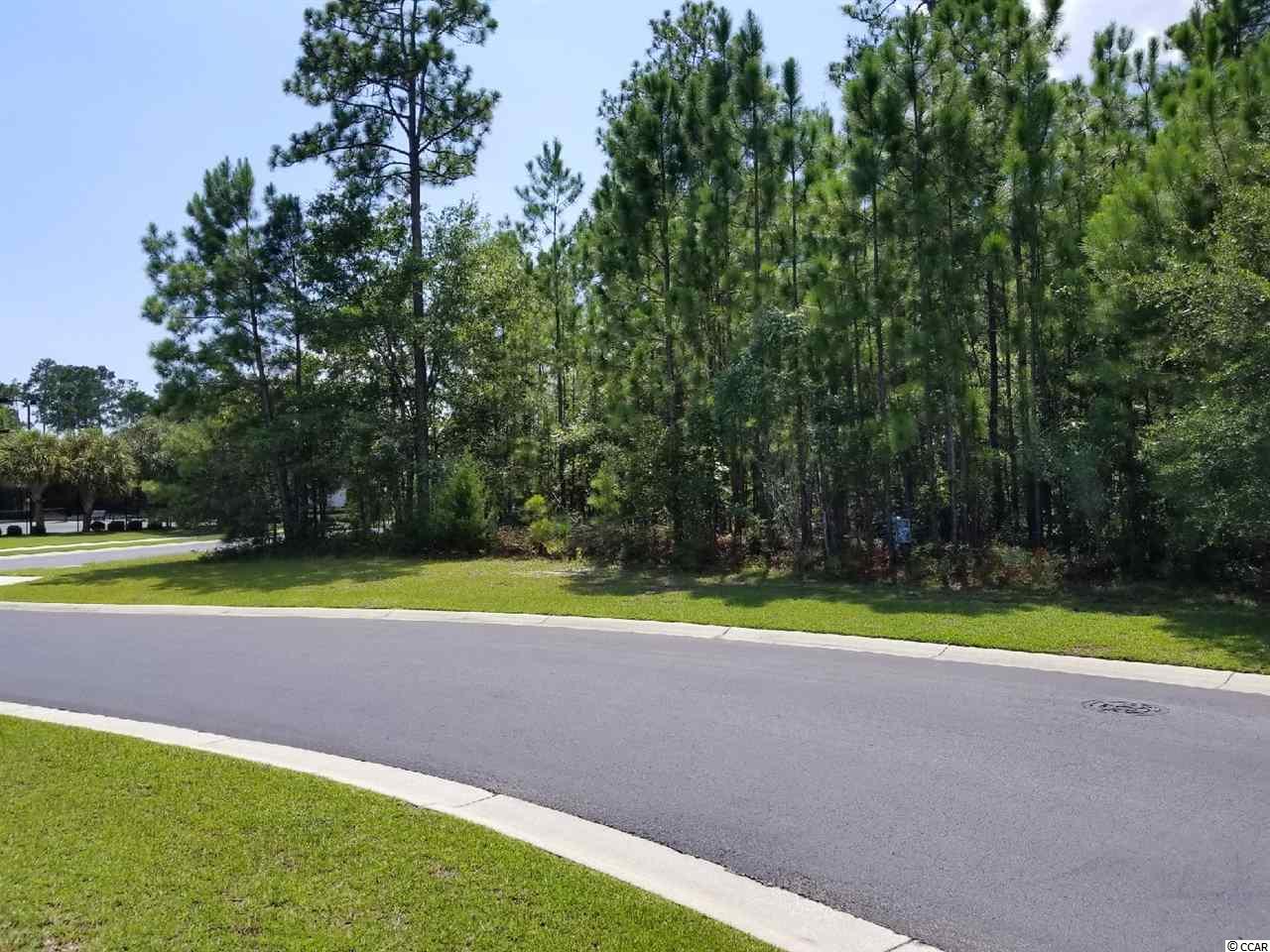Lot 87 Cascade Drive Murrells Inlet, SC 29576 - Photo 2 of 21 Gallery Image 2