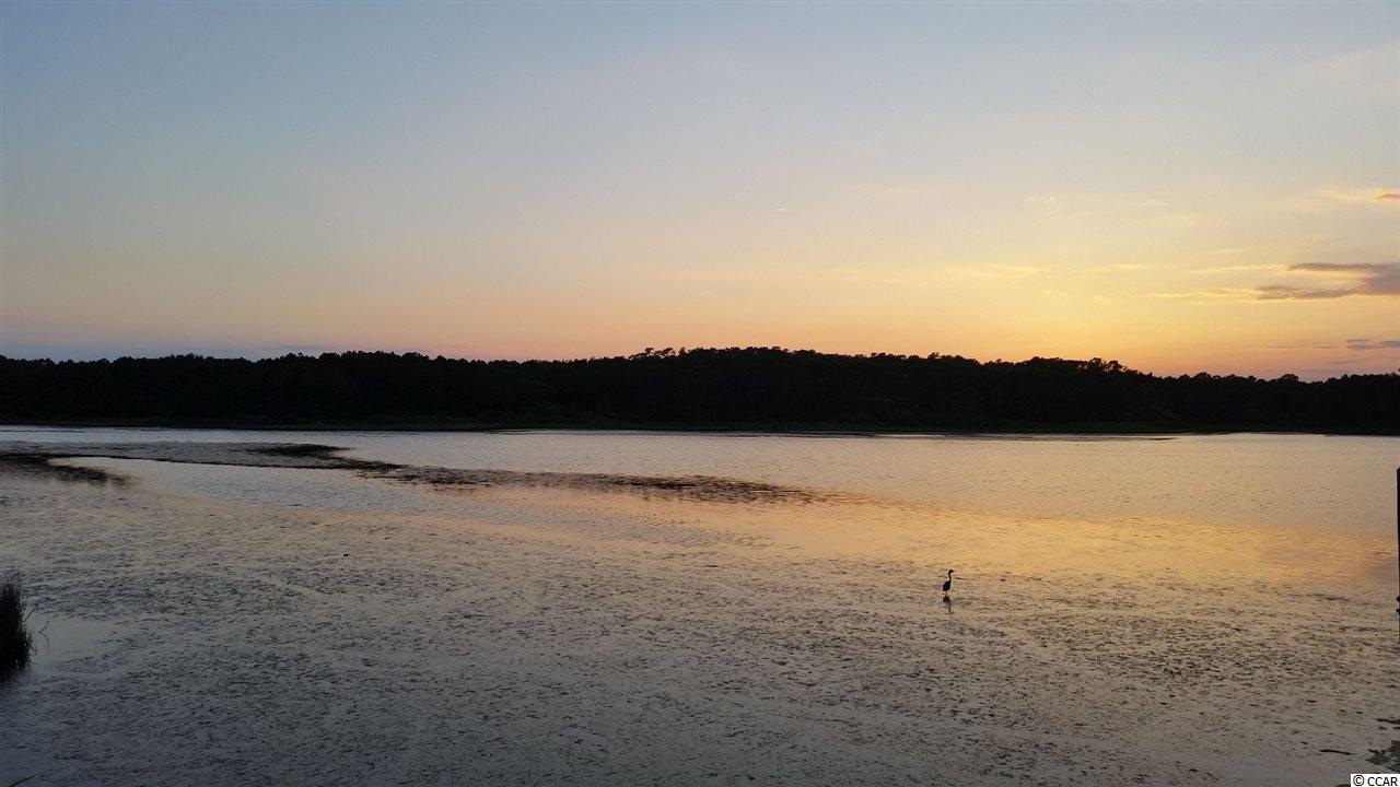 Lot 87 Cascade Drive Murrells Inlet, SC 29576 - Photo 16 of 21 Gallery Image 16