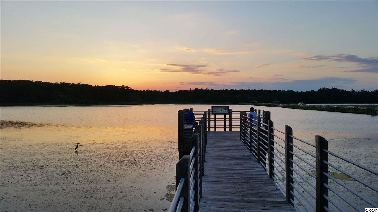 Lot 87 Cascade Drive Murrells Inlet, SC 29576 - Photo 17 of 21 Gallery Image 17