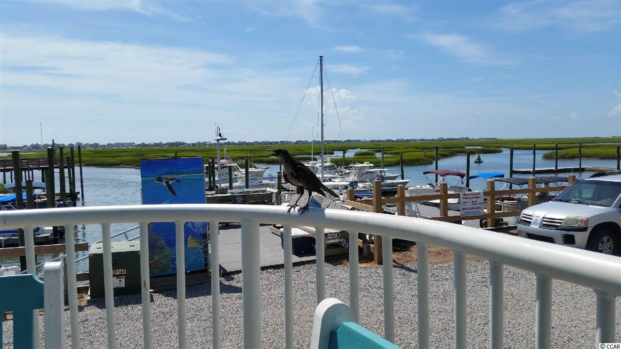 Lot 87 Cascade Drive Murrells Inlet, SC 29576 - Photo 18 of 21 Gallery Image 18