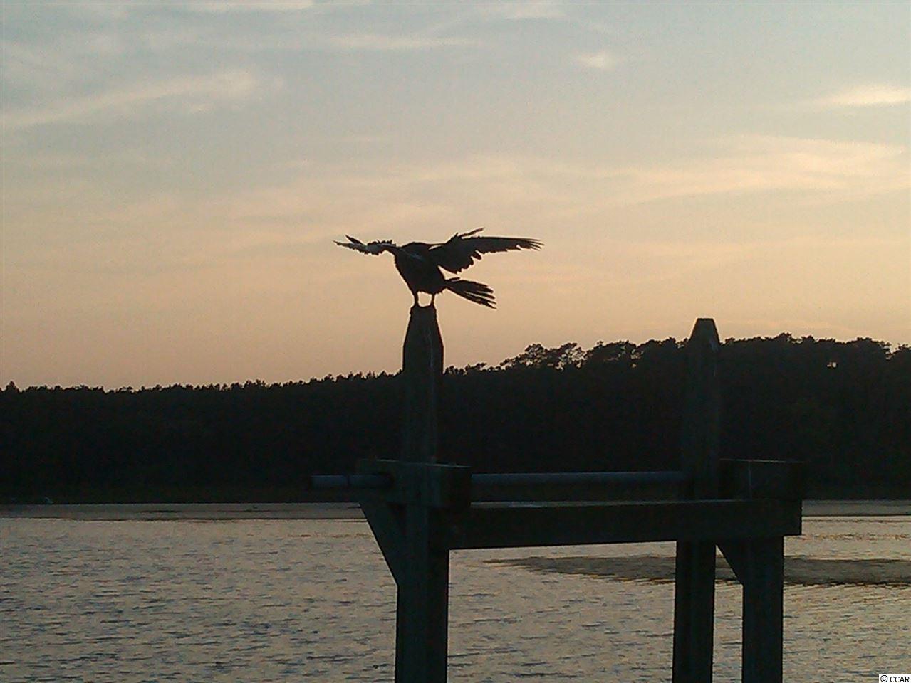 Lot 87 Cascade Drive Murrells Inlet, SC 29576 - Photo 19 of 21 Gallery Image 19