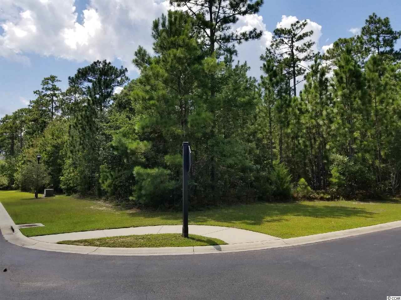 Lot 87 Cascade Drive Murrells Inlet, SC 29576 - Photo 3 of 21 Gallery Image 3