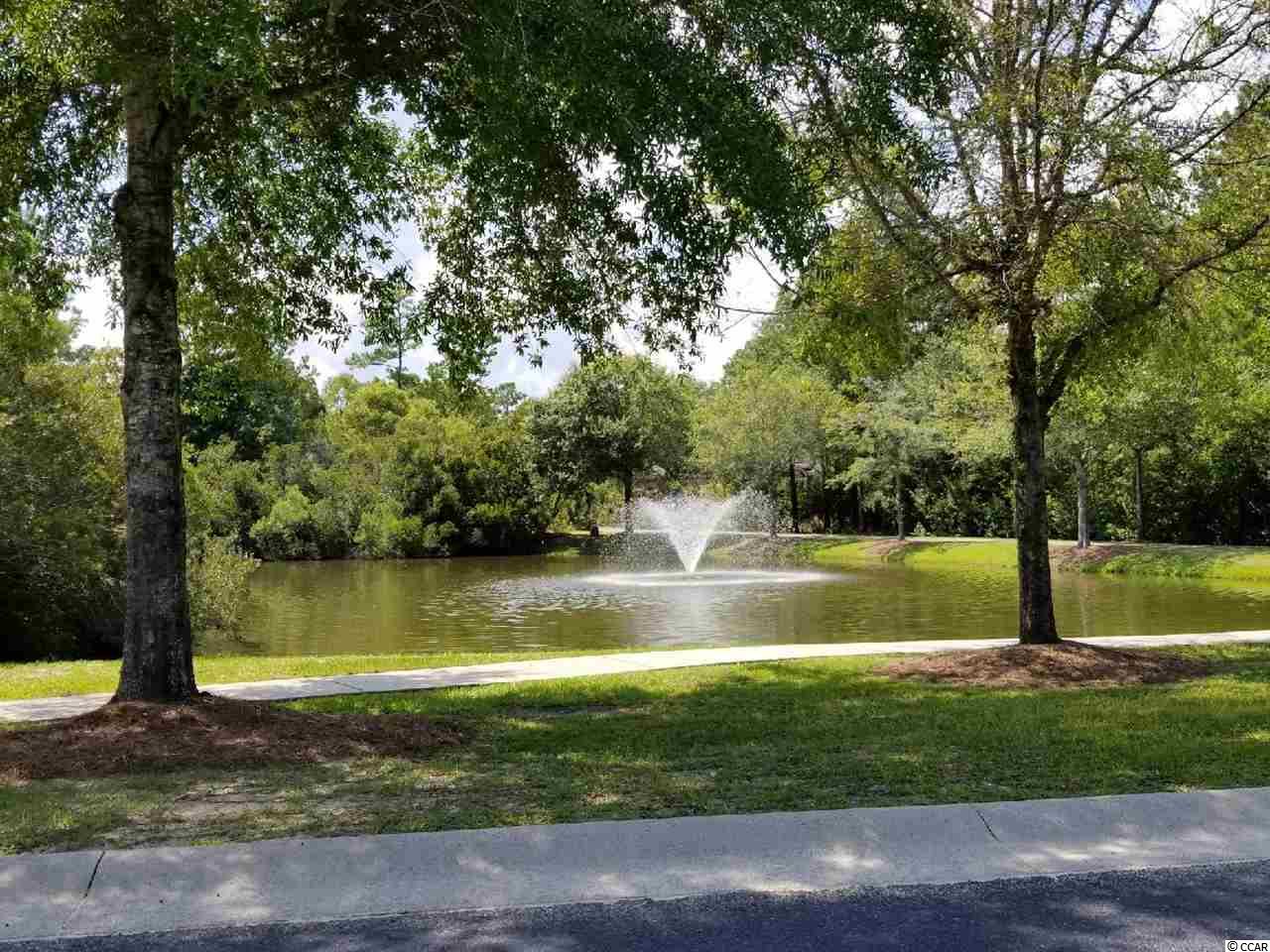 Lot 87 Cascade Drive Murrells Inlet, SC 29576 - Photo 8 of 21 Gallery Image 8