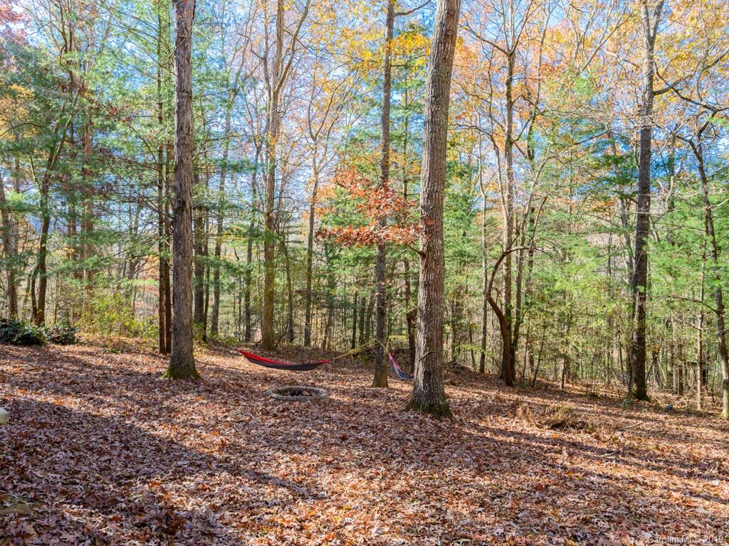 27 Franklin Farm Road Fletcher, NC 28732 - Photo 45 of 48 Gallery Image 45