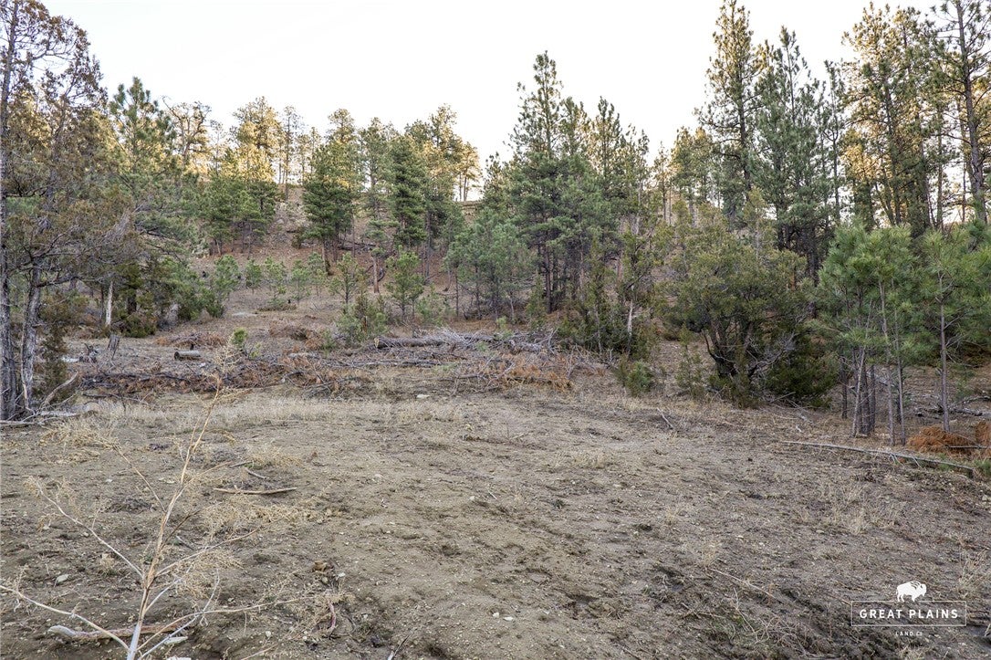 51 Buckskin Road Roundup, MT 59072 - Photo 33 of 34 Gallery Image 33