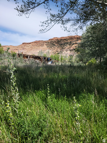 10429 4th Street East Randlett, UT 84063 - Photo 11 of 19 Expansive natural landscape featuring varied green foliage in the foreground. Pasture looking North.