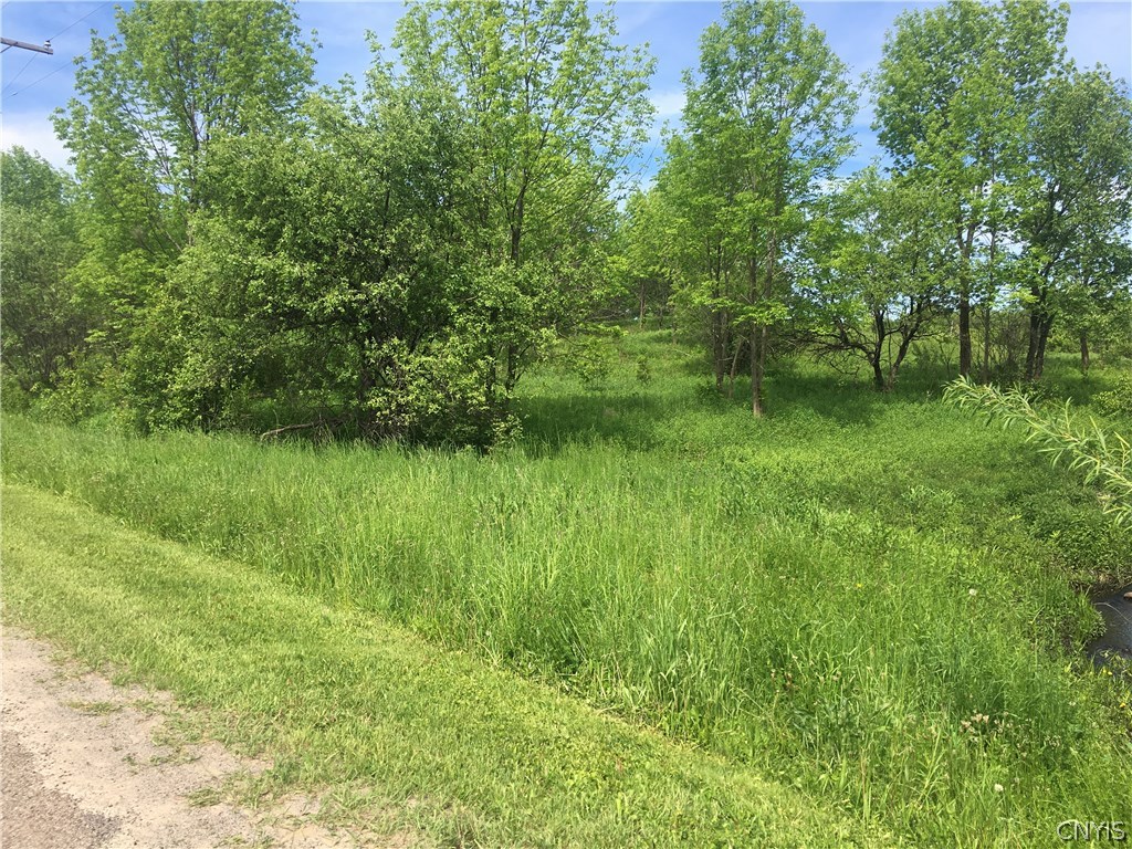 0 Deminuk Road Boonville, NY 13309 - Photo 14 of 21 Gallery Image 14