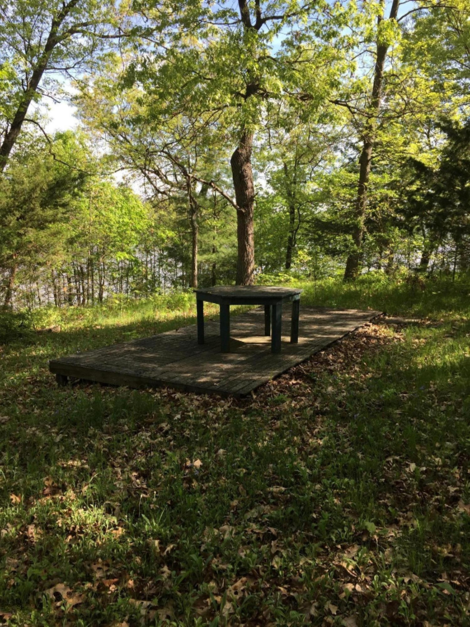 18756 Ark Landing Three Rivers, MI 49093 - Photo 6 of 6 Park Like setting