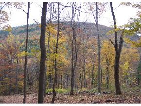 Saw Mill Hill Road Wells, VT 05774 - Photo 1 of 3 Gallery Image 1