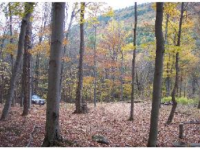 Saw Mill Hill Road Wells, VT 05774 - Photo 2 of 3 Gallery Image 2