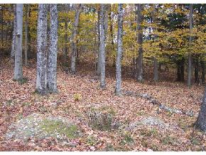 Saw Mill Hill Road Wells, VT 05774 - Photo 3 of 3 Gallery Image 3