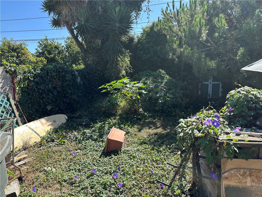 168 Lark Street Oxnard, CA 93033 - Photo 13 of 15 a view of a flower in a yard