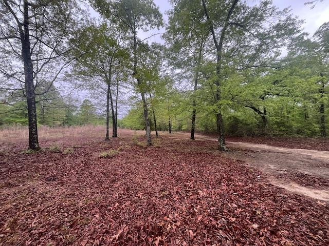 3659 McCords Ferry Road Eastover, SC 29044 - Photo 17 of 17