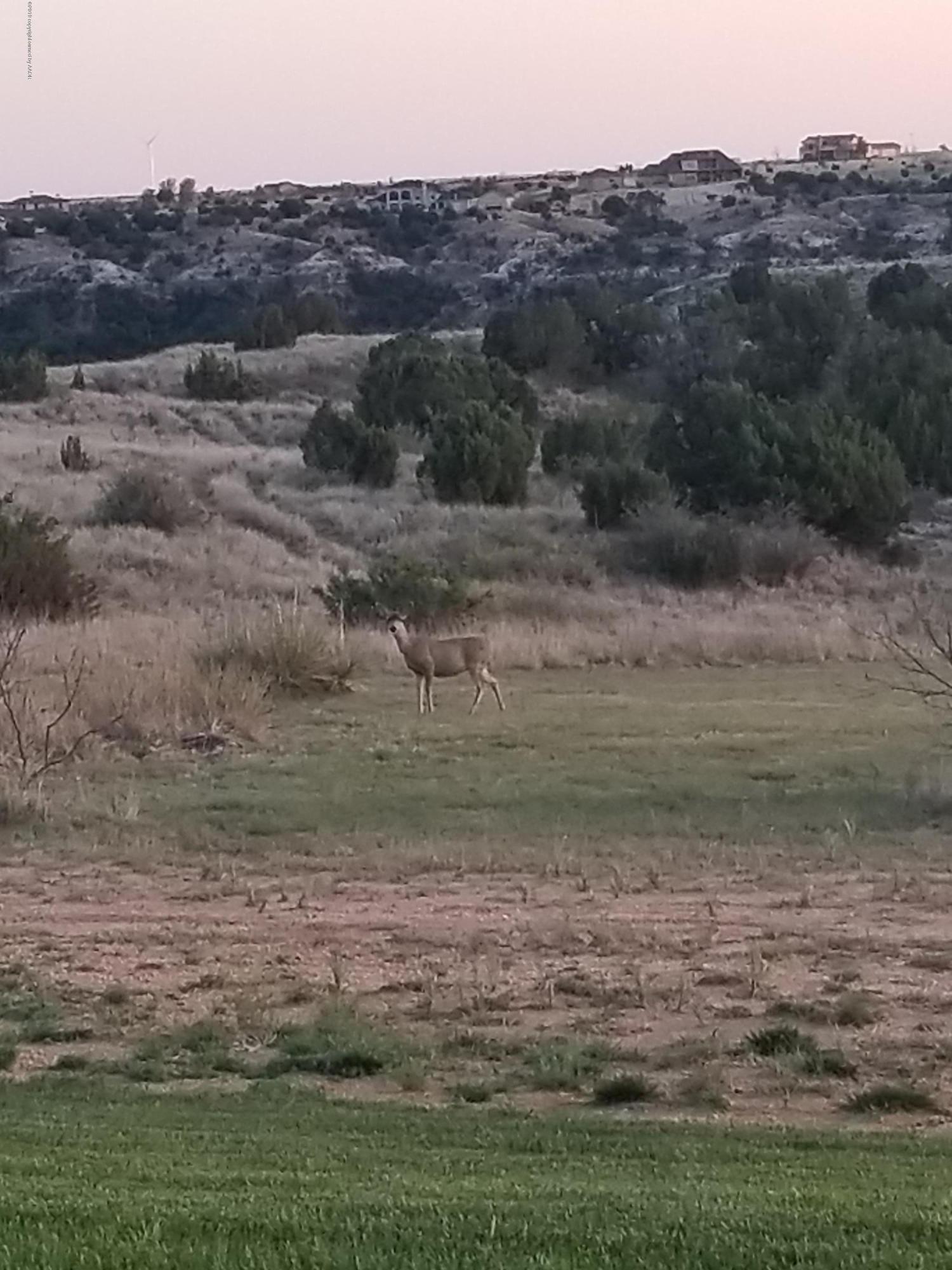7400 Canyon Bend Road Amarillo, TX 79118 - Photo 39 of 40 View with Wildlife
