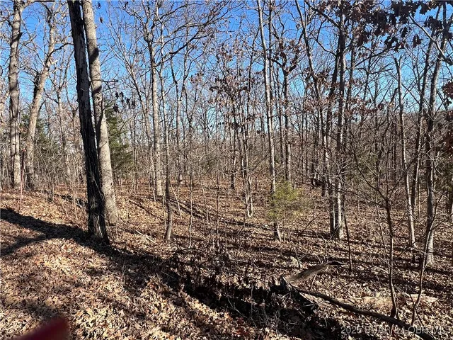 $50,500 | Thong Tree Road, Camdenton, MO 65020
