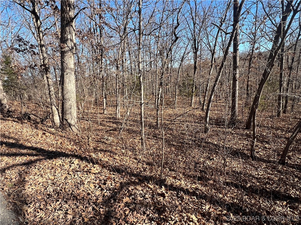 Thong Tree Road Camdenton, MO 65020 - Photo 2 of 2