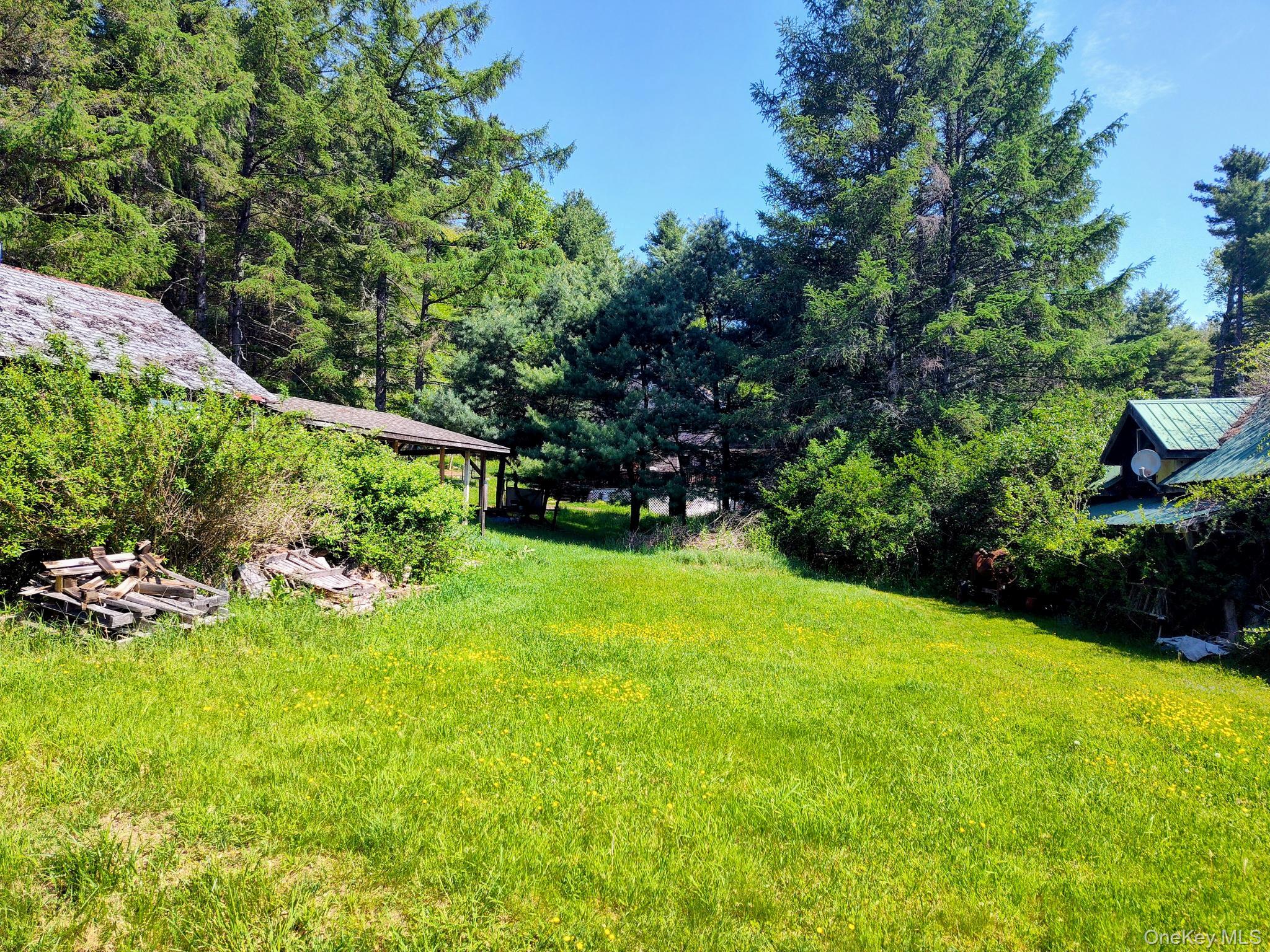 174 Forestburgh Road Forestburgh, NY 12777 - Photo 3 of 28 a view of a garden with a bench in the garden