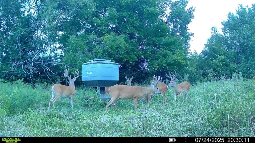 0 Prairie Road Fort Scott, KS 66701 - Photo 17 of 32
