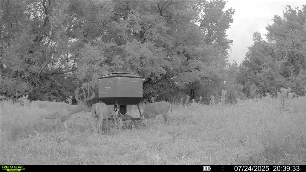 0 Prairie Road Fort Scott, KS 66701 - Photo 18 of 32