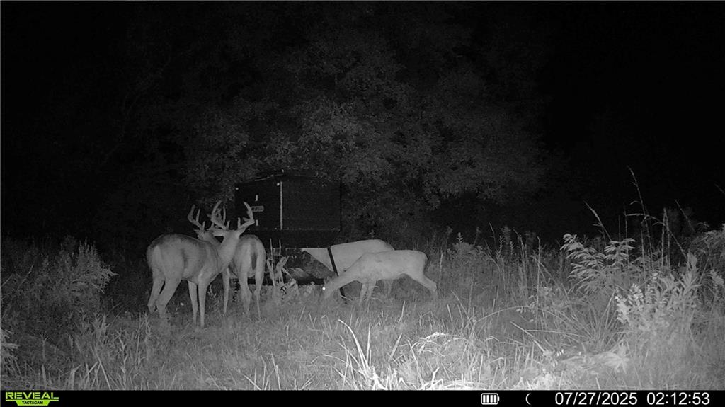 0 Prairie Road Fort Scott, KS 66701 - Photo 19 of 32