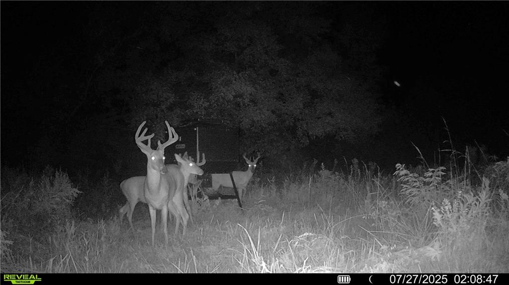 0 Prairie Road Fort Scott, KS 66701 - Photo 20 of 32