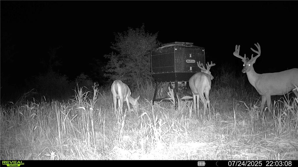 0 Prairie Road Fort Scott, KS 66701 - Photo 21 of 32