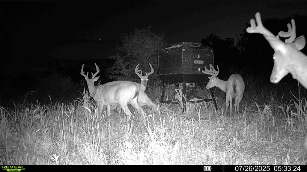 0 Prairie Road Fort Scott, KS 66701 - Photo 22 of 32