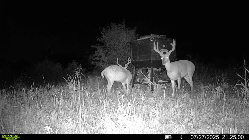 0 Prairie Road Fort Scott, KS 66701 - Photo 23 of 32
