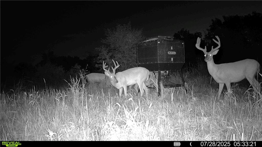 0 Prairie Road Fort Scott, KS 66701 - Photo 24 of 32