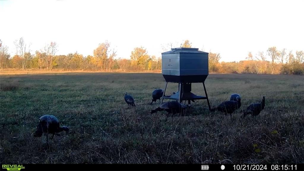 0 Prairie Road Fort Scott, KS 66701 - Photo 26 of 32