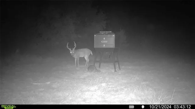 $655,500 | 0 Prairie Road, Fort Scott, KS 66701