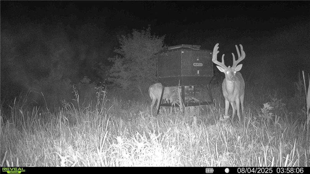 0 Prairie Road Fort Scott, KS 66701 - Photo 31 of 32