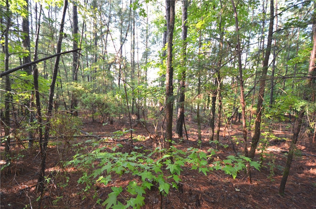 Lot 2 Oak Bowery Road Opelika, AL 36801 - Photo 4 of 10 Gallery Image 4