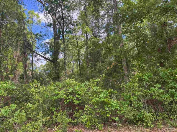 $79,900 | 0 Hwy 87 Jay, Jay, FL 32565