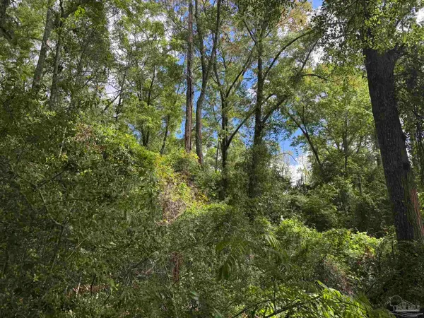 $79,900 | 0 Hwy 87 Jay, Jay, FL 32565