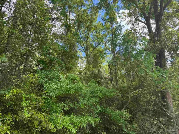 $79,900 | 0 Hwy 87 Jay, Jay, FL 32565