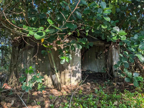 a backyard of a house