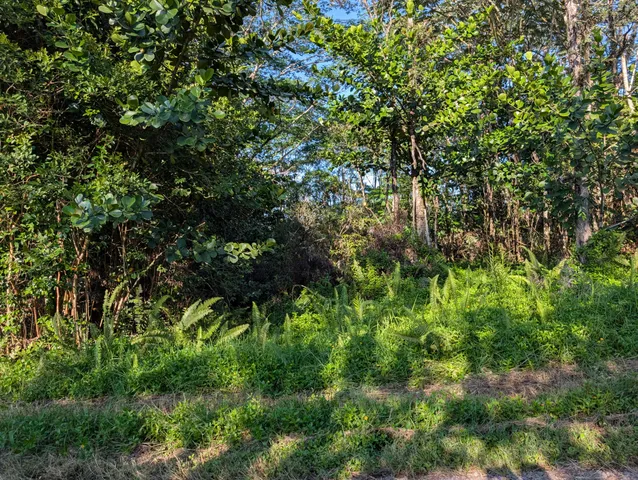 a backyard of a house with lots of plants