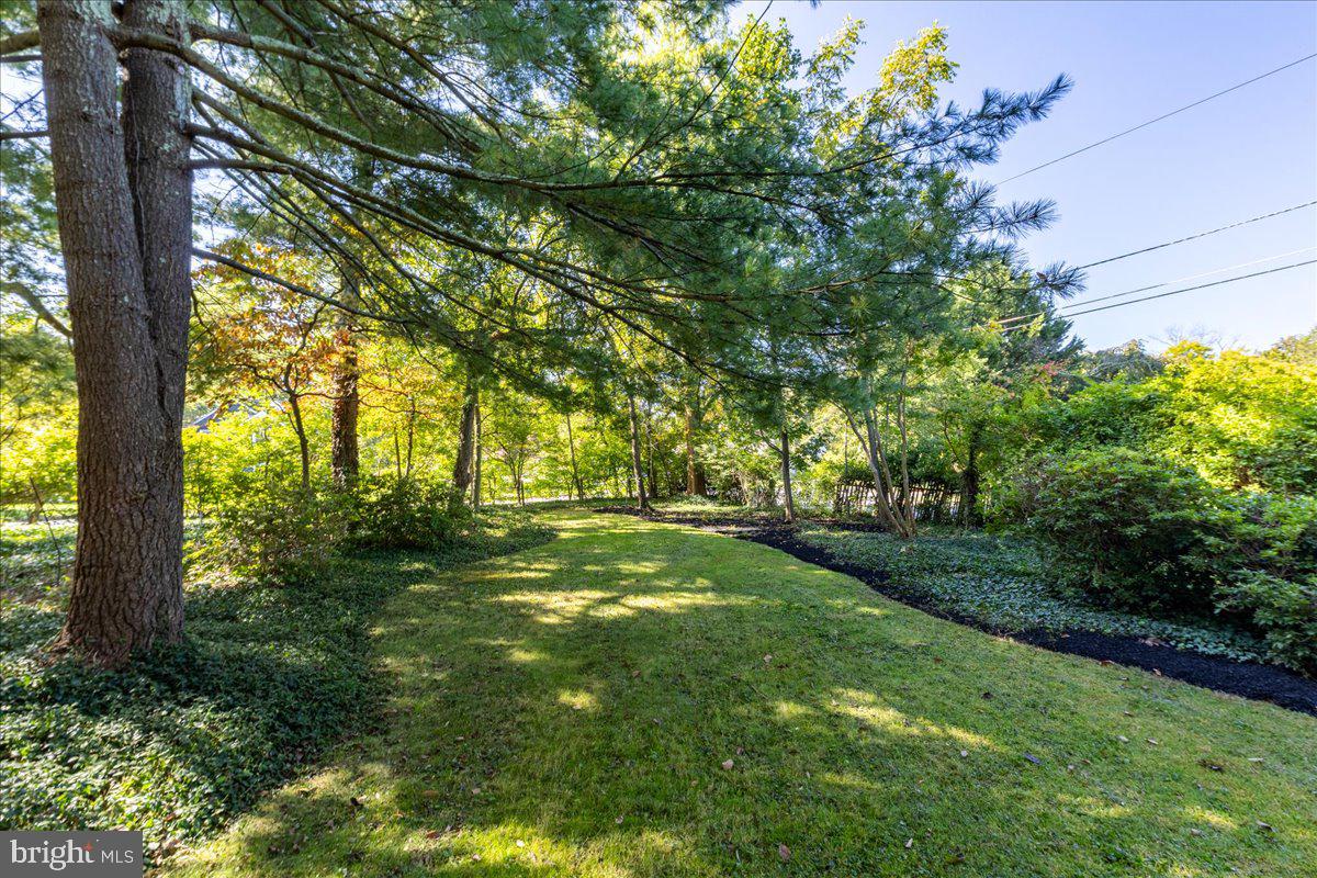 539 Jefferson Road Princeton, NJ 08540 - Photo 28 of 30 Yard