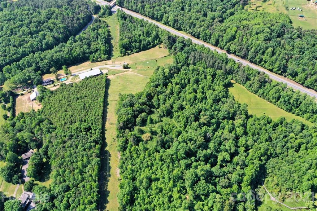 4733 Hunting Country Road Tryon, NC 28782 - Photo 45 of 48 a view of a green yard with a plant
