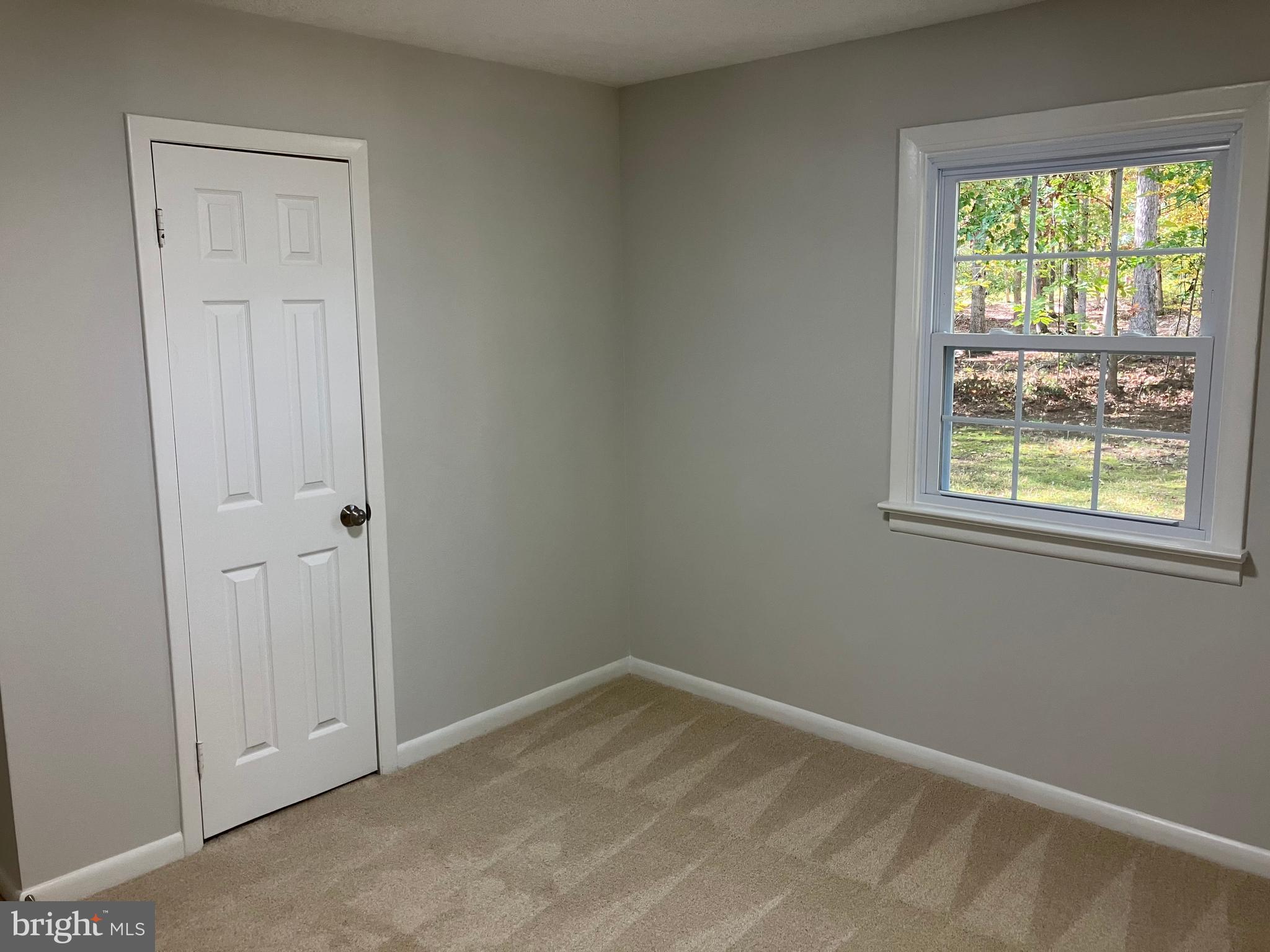 10221 Hudson Road Culpeper, VA 22701 - Photo 12 of 14 Gallery Image 12